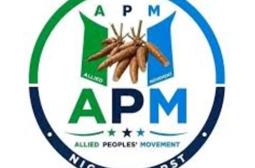 Oyo Local Government Election: APM Candidates Drag Party To Court