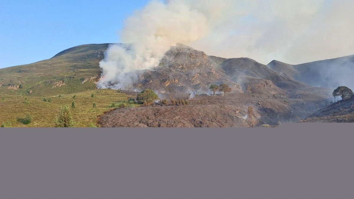 Glenmore area reopens after devastating Cairngorms wildfire