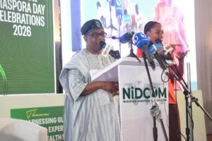 FG shifts diaspora engagement from consular service to strategic partnership