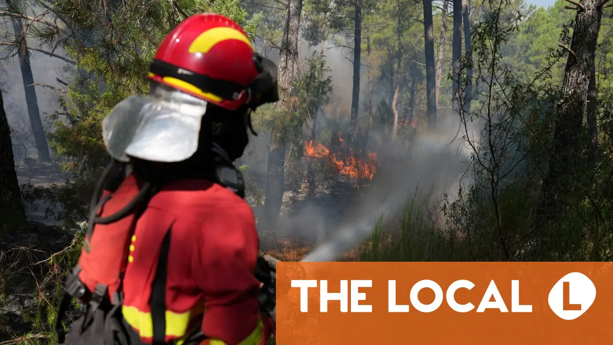 Spain deploys 275 firefighters to tackle Andalusia forest blaze