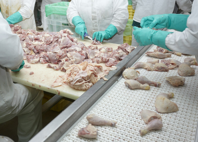 Poultry processing injury rates hit record low in 2024