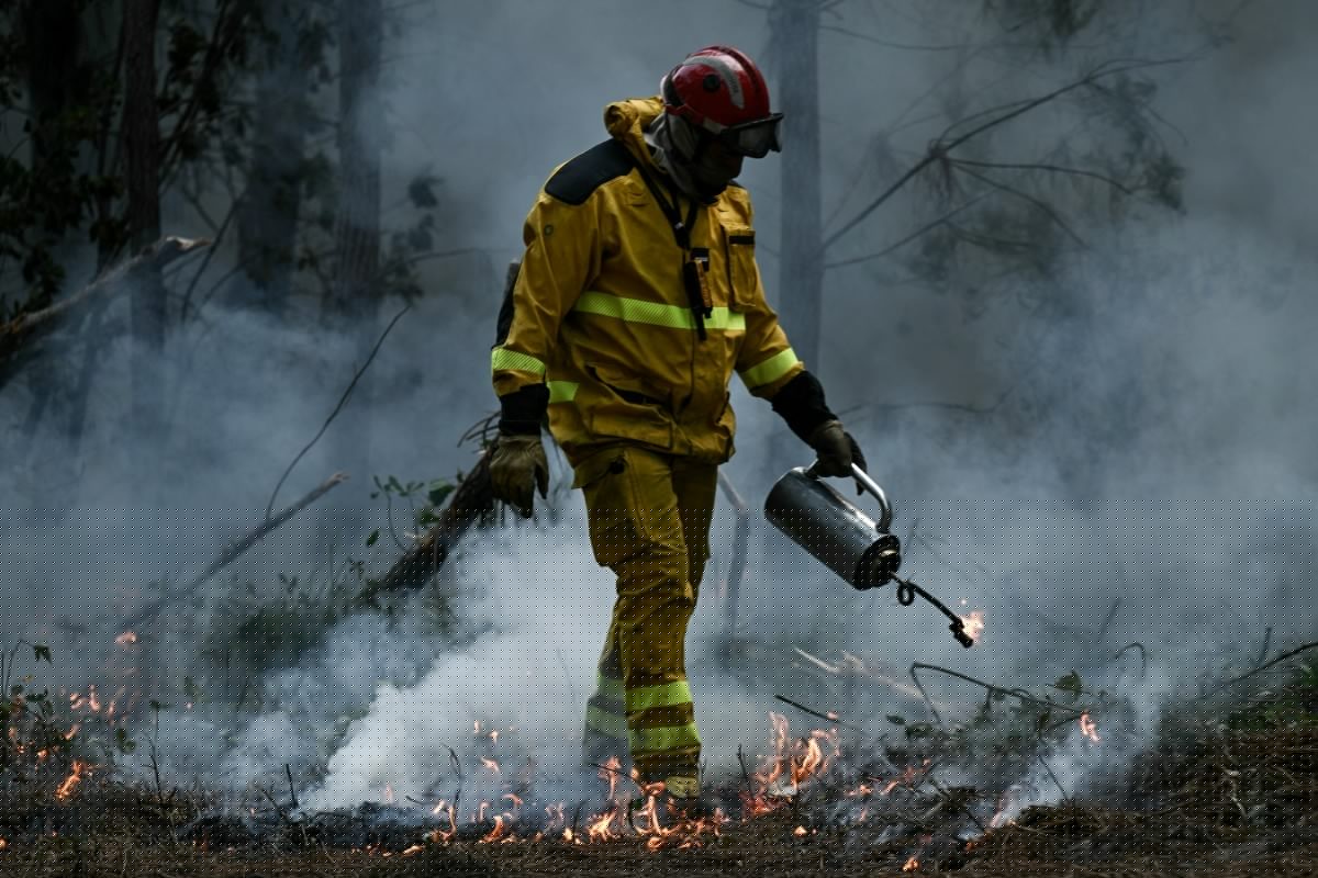 Como o derretimento do gelo no Ártico ajuda a explicar o calor extremo e os incêndios históricos que atingem a Europa