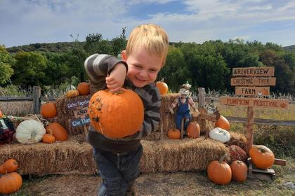 You Can't Miss The Big Pumpkin Festival In Canton, South Dakota