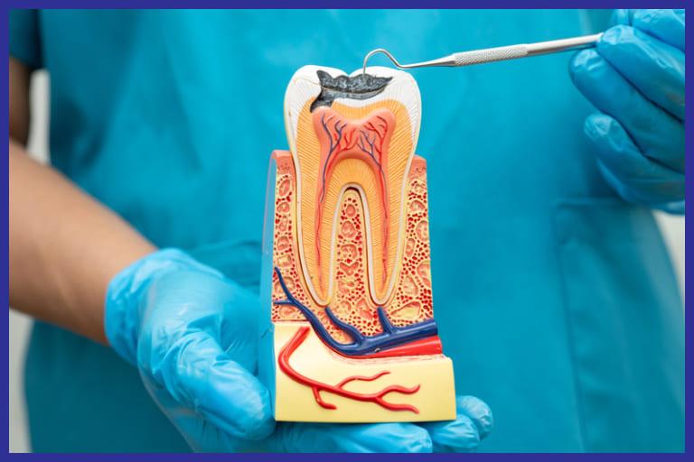 Root Canal Treatment: Separating the Facts From the Fear
