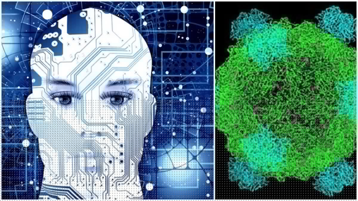 L’intelligenza artificiale progetta virus sintetici: creati batteriofagi con genomi completamente nuovi