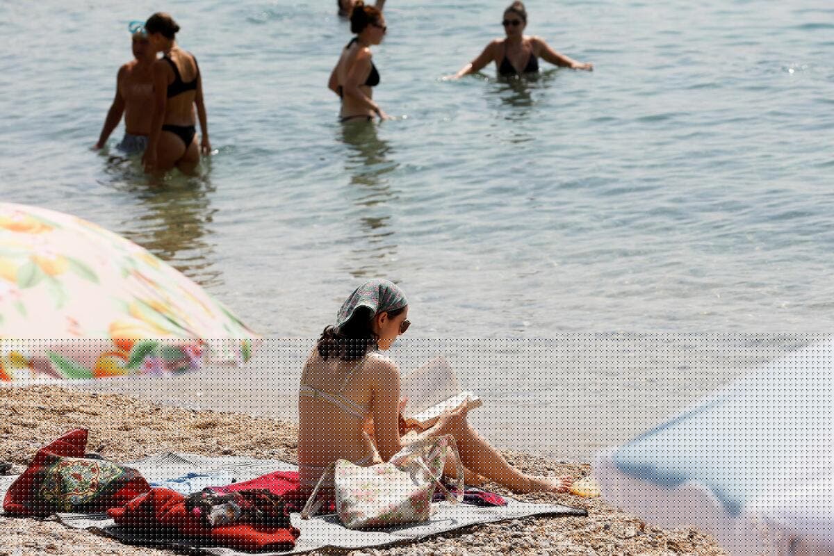 (Re) découvrir Toulon ou Hyères par les livres ? Nous avons demandé à des libraires indépendants leur sélection