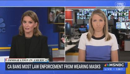 MSNBC Floats Idea That Wearing Masks Is To Blame for Threats to ICE Agents