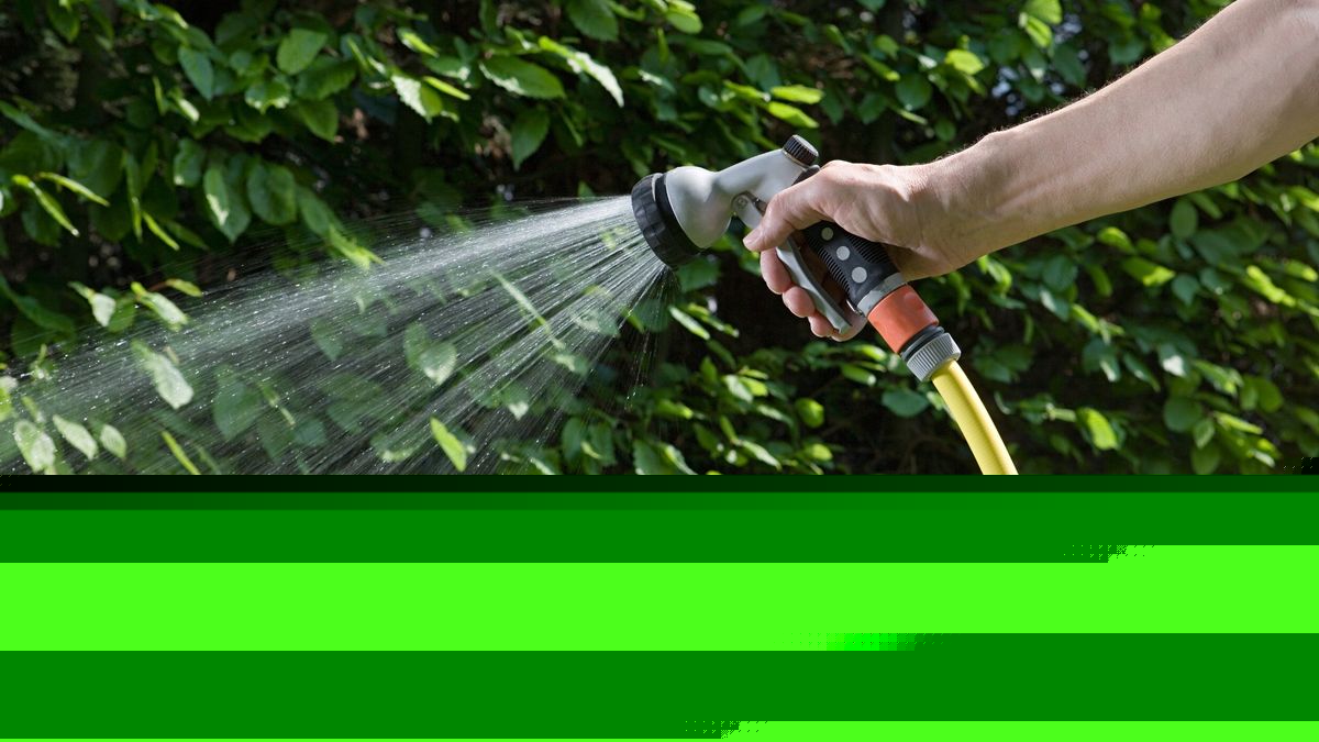 Hosepipe ban extension on the cards as temperatures expected to rise again this week
