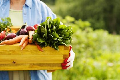 Why International companies are choosing Poland's 2026 Fruit and Vegetable Industry Fair (TSW)