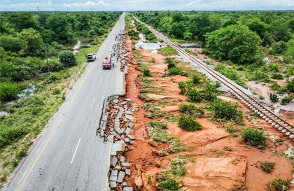 Inundaciones empujan a cocodrilos a pueblos de Mozambique; aumentan preocupaciones sanitarias