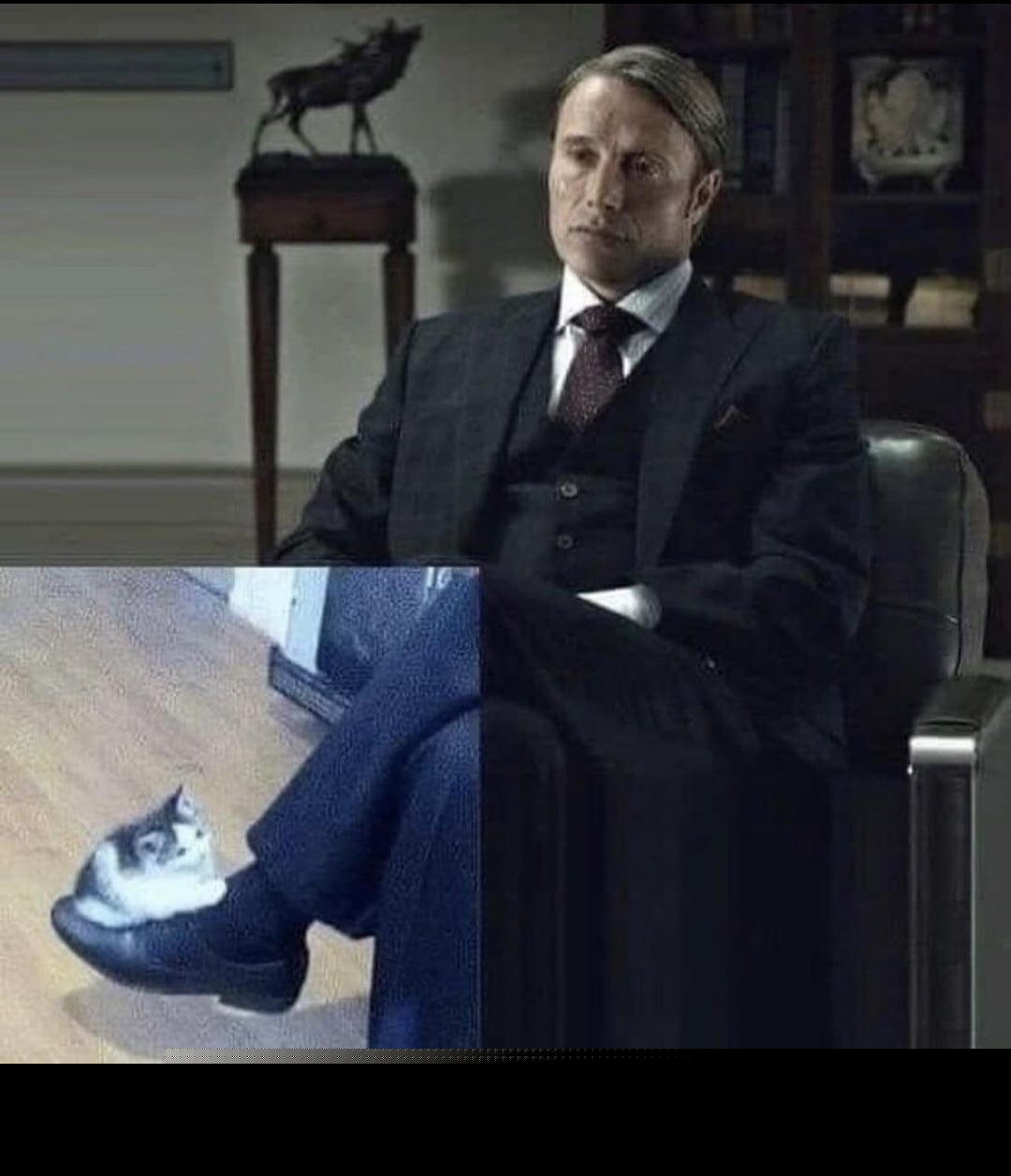 Cats - Sounds about right