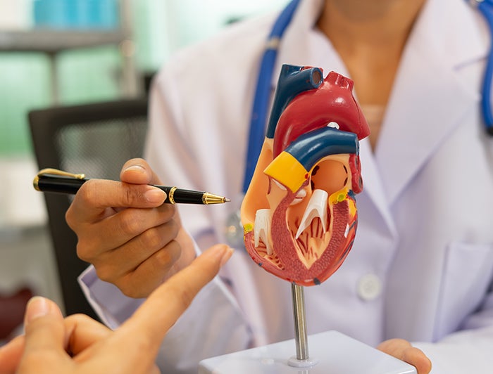 Revolutionizing Heart Valve Care: Dr. Paul Sorajja Pioneers FDA‑Approved Treatment for Untreatable Mitral Annular Calcification