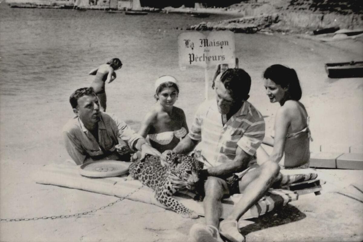 Ils ont fait la légende du cap d’Antibes (4/8) : on vous raconte la folle histoire de la mannequin Nina Dyer et de sa vraie panthère en laisse qu’elle « emmenait partout avec elle »