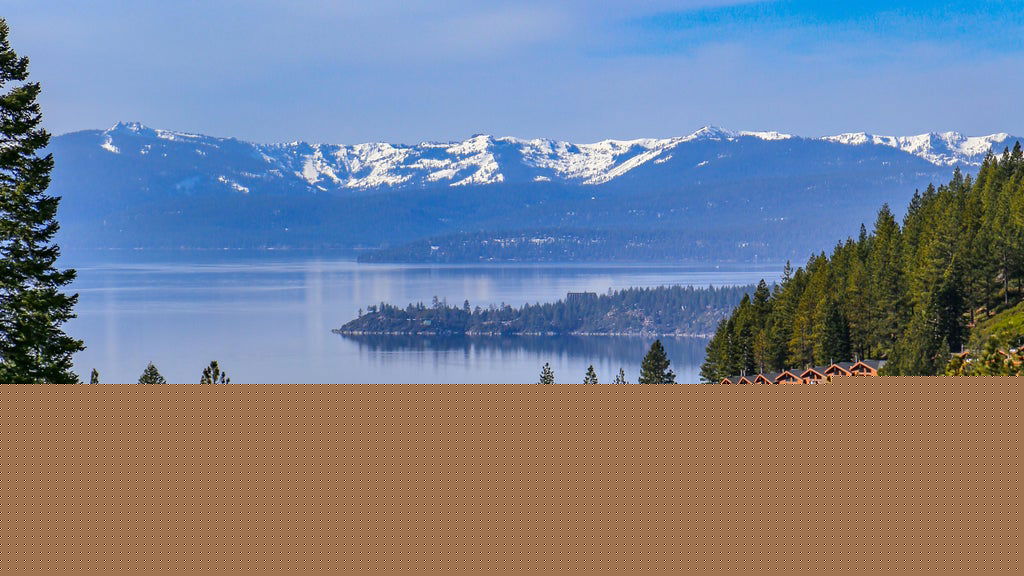 Lake Tahoe tree poisoning investigation grows after more trees targeted, sheriff says