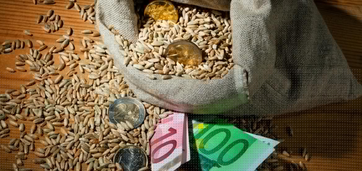 Κρατικές ενισχύσεις (de minimis) ύψους 24,6 εκατ. ευρώ για ρυζοπαραγωγούς