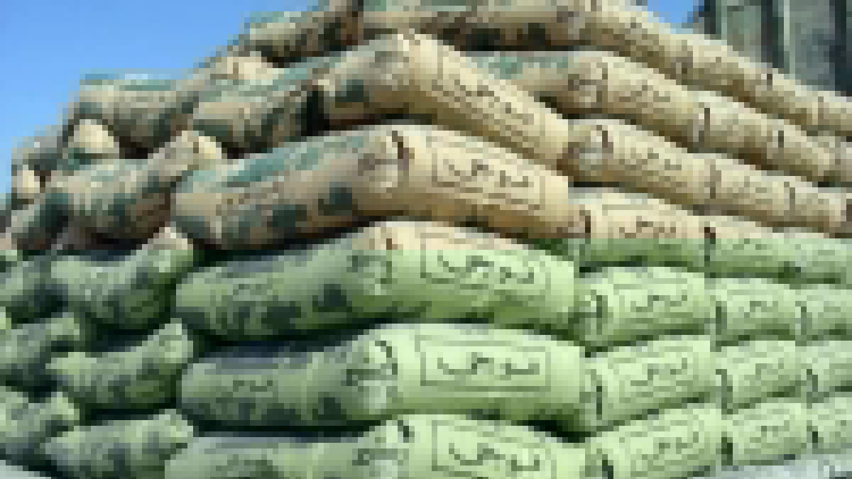 Fauji Cement Posts Record Rs. 16.2 Billion Profit in FY26