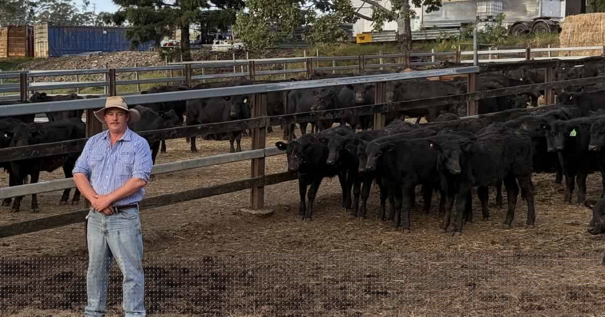 Still strong, but not as strong as it was: Grafton store sale tempers ahead of spring