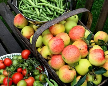 Harvest festival is an ideal time to reflect before preparing the garden for winter