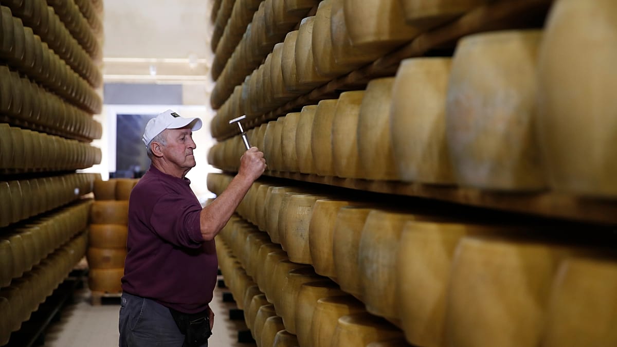 Extreme Hitze setzt Italiens Käsebanken unter Druck: Parmigiano sichert Bauernkredite