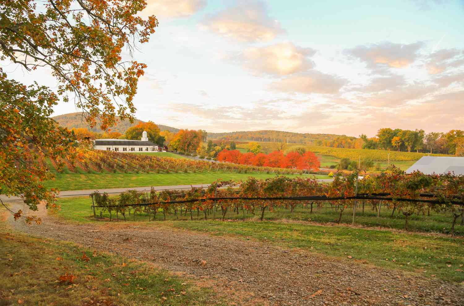 This Friendly Town Has Mountain Views, Antique Shopping, And The Best Little Main Street In Virginia