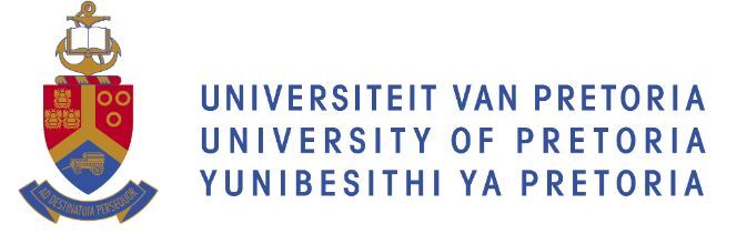 University of Pretoria
