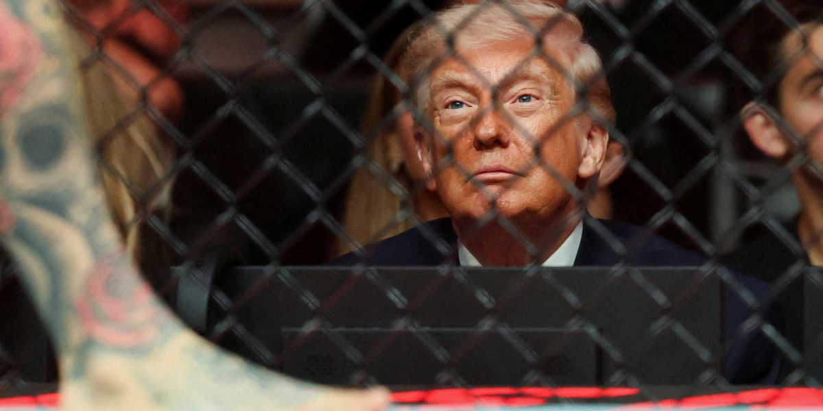 'Spit in their face’: UFC fighter tears Trump apart for ‘crushing’ families