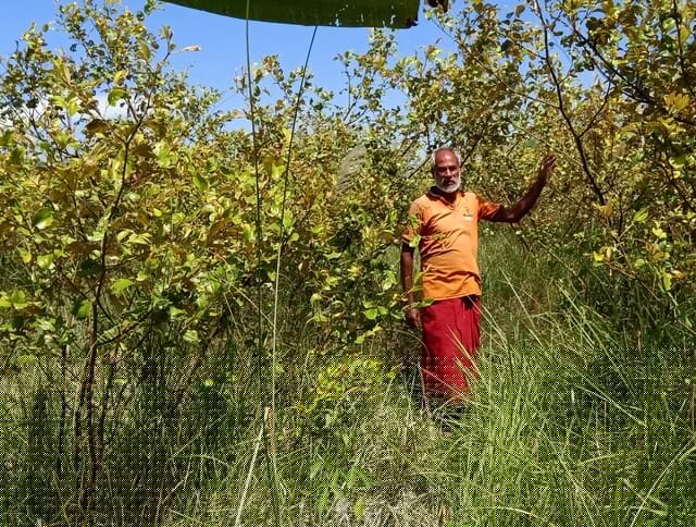 Erosion-hit Assam farmers turn to horticulture