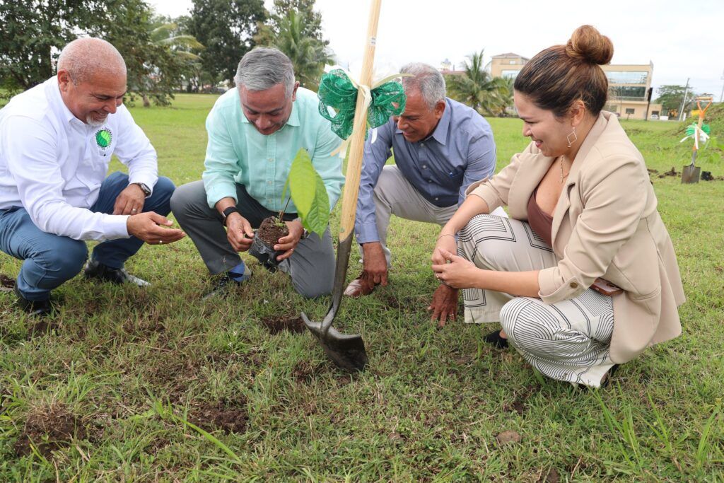 One Million Trees for Belize, And Why This Matters So Much to All of Us