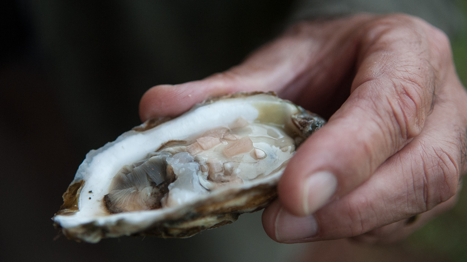 The 'Oyster Capital Of The East Coast' Is A Scenic State With Unmatched Seafood Restaurants