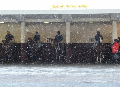 Weather Woes Continue as Aqueduct Weekend Racing Cancelled