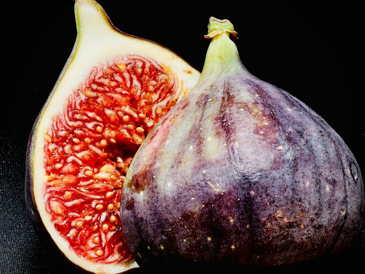 Fig: The World’s Oldest Cultivated Plant and Its Modern Health Benefits