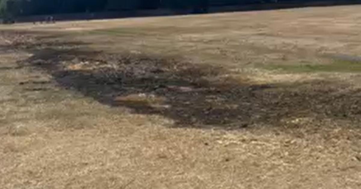 Fires in two parks were started deliberately, investigators believe