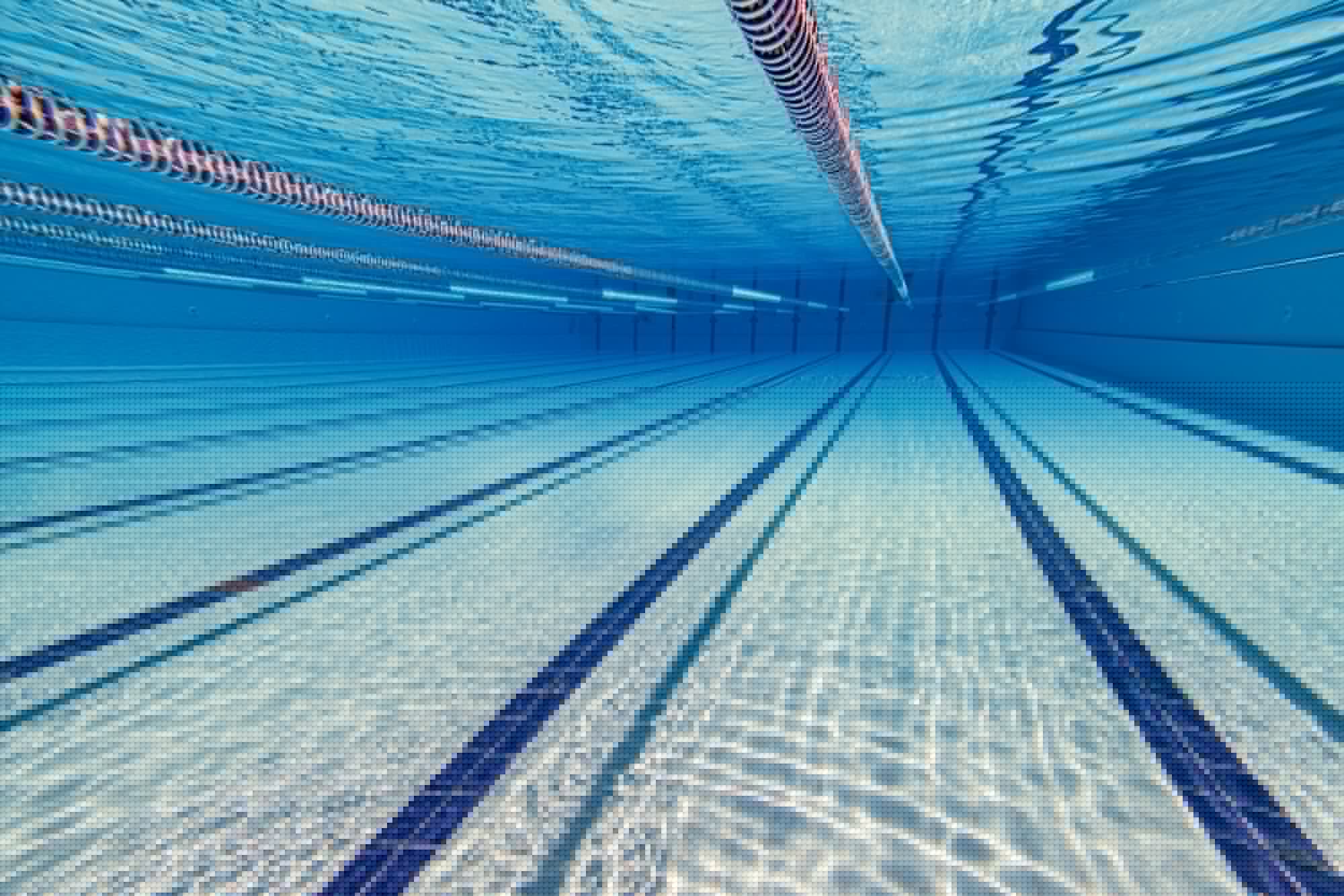 Today's True Crime Mad Lib is nude O.C. NCAA swimmer allegedly beat Maui condo guard on lunch break to death with 5-gallon water bottle [Strange]