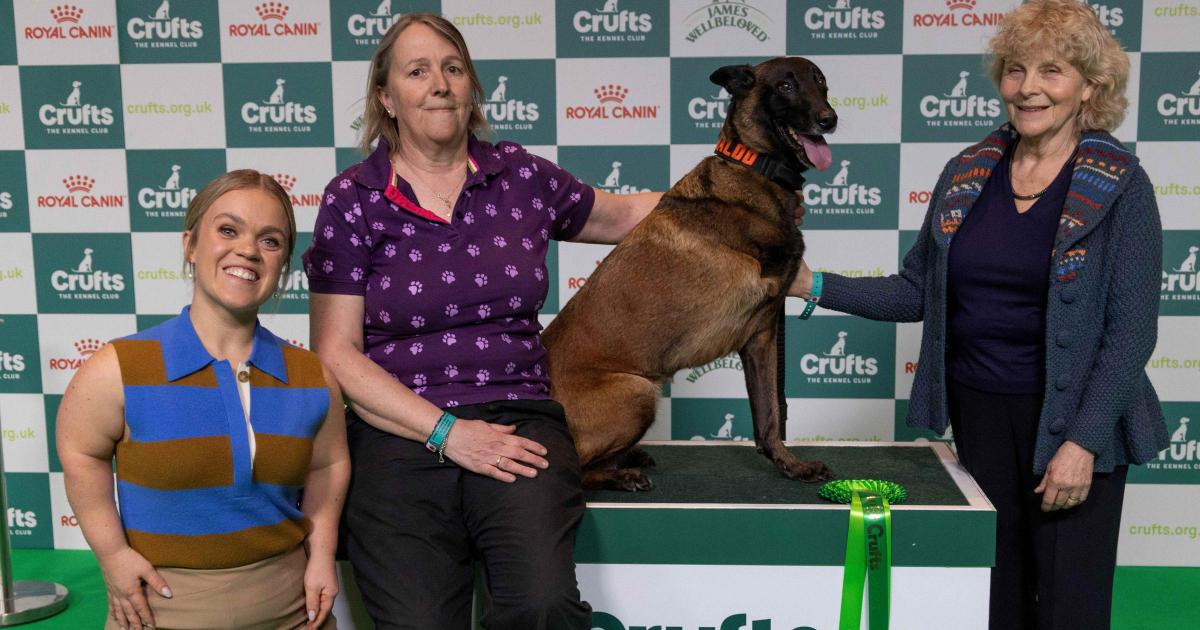 Nominations open for the Hero Dog Award 2026