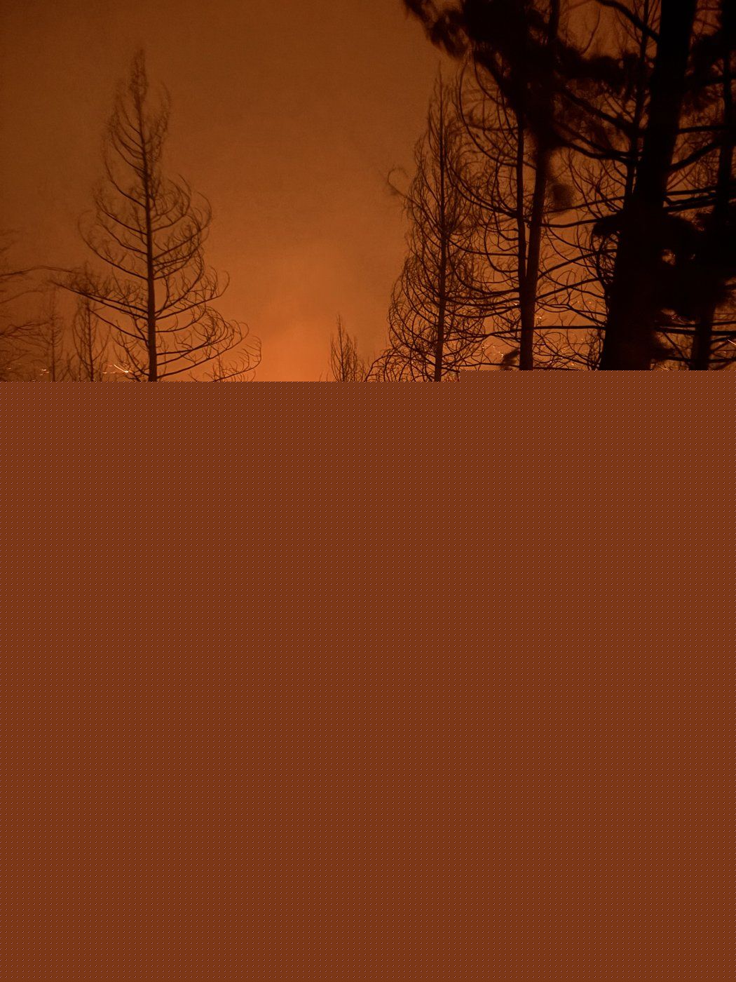 When B.C. brothers fought to save home from raging fire (Summerland)