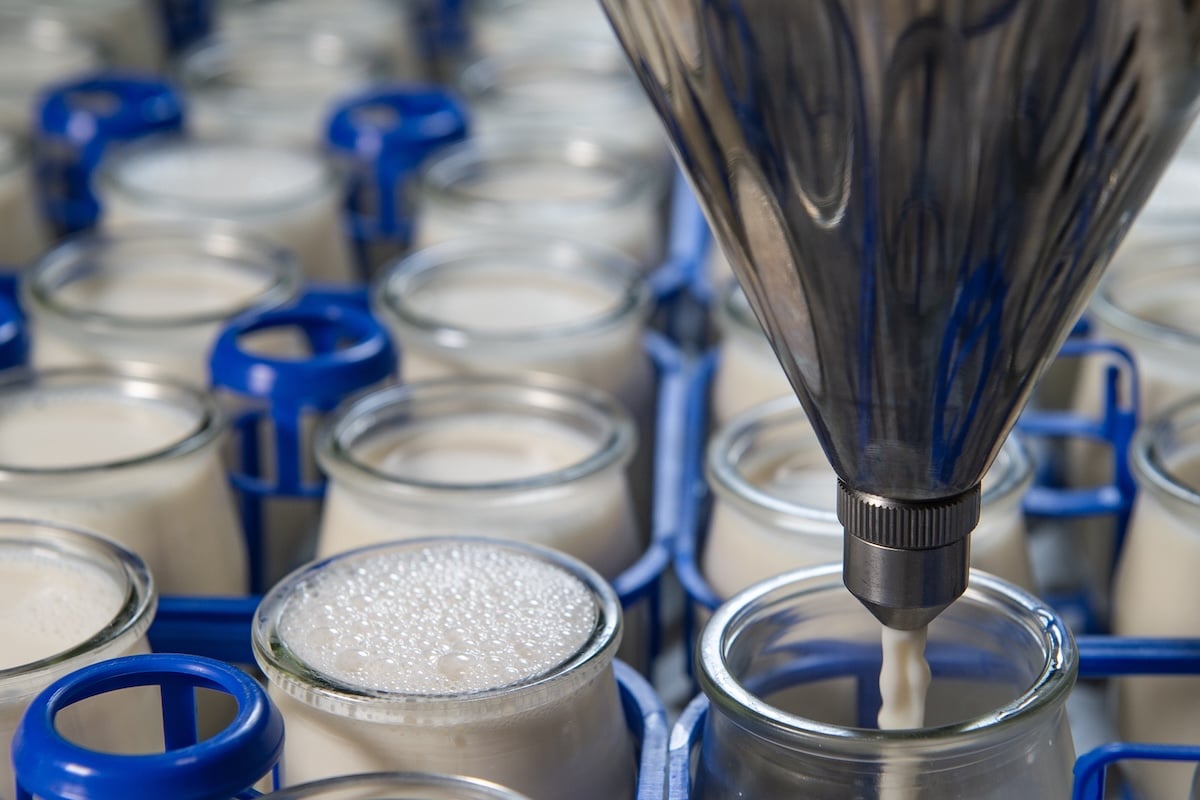 Dairy Code review recommendations to be implemented