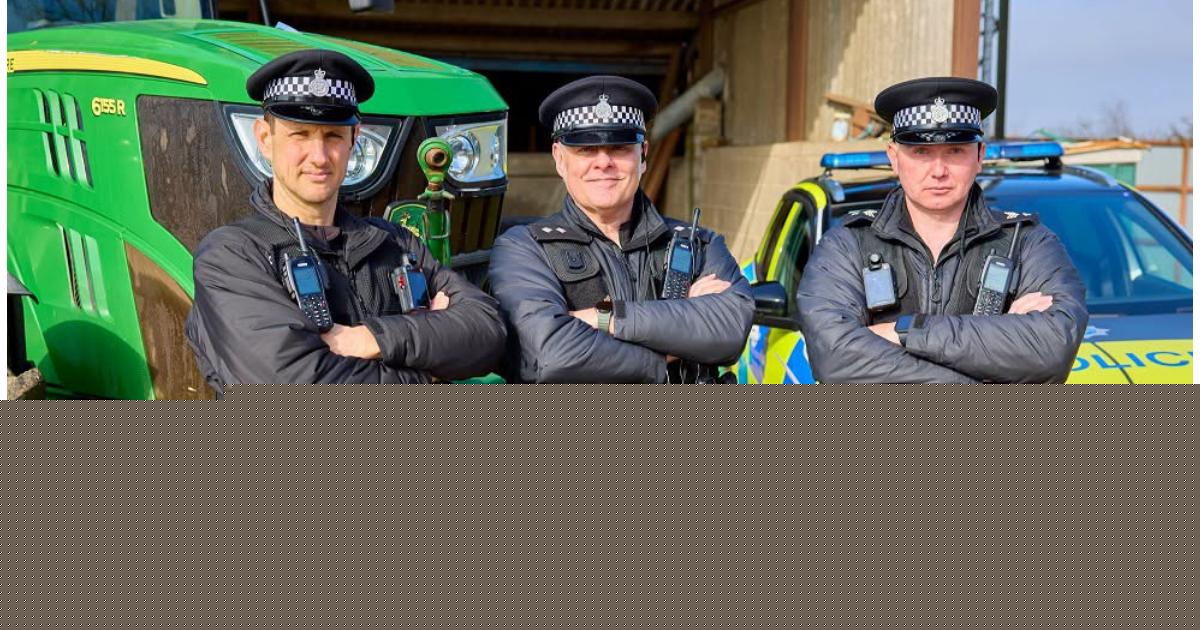 Man arrested after 'cattle stolen' from North Yorkshire