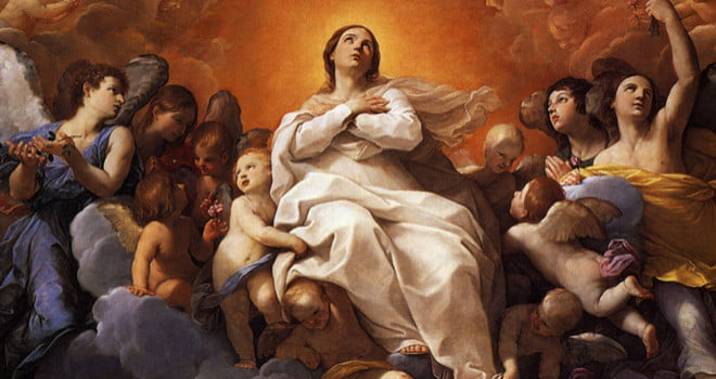 Comment on Do Anglicans celebrate the Assumption of Mary? by Elaine
