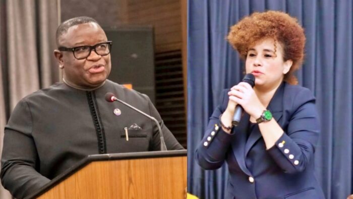 Comment on Sierra Leone constitution amendment – be careful what you wish for – Op ed by Emma