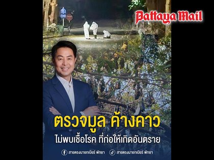 Lab tests confirm bat droppings in Pattaya pose no health risk