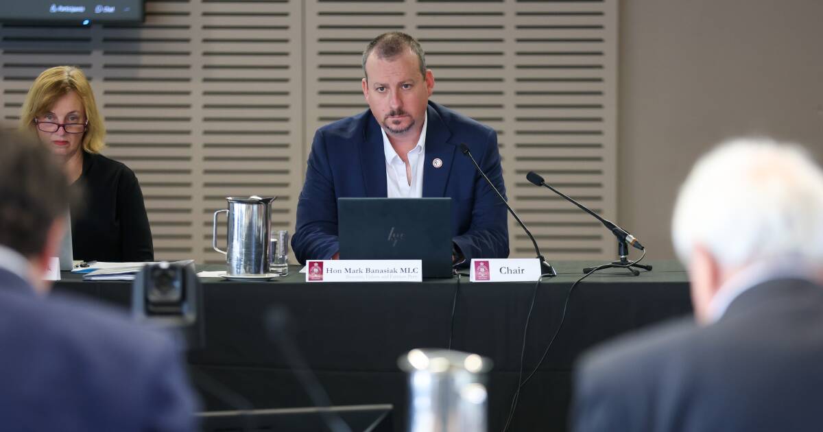 'Incredibly important and scathing': Renewable Energy report draws applause from REZ residents