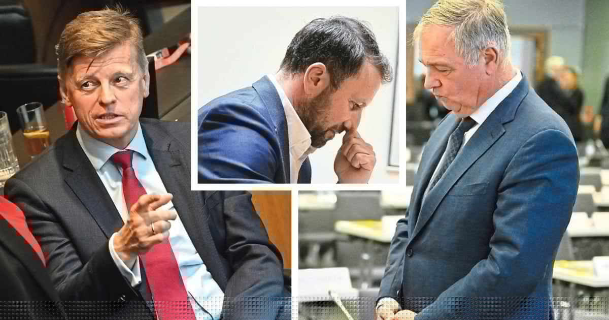 Experte klärt auf - Warum fliegen derzeit so viele aus ihren Parteien?