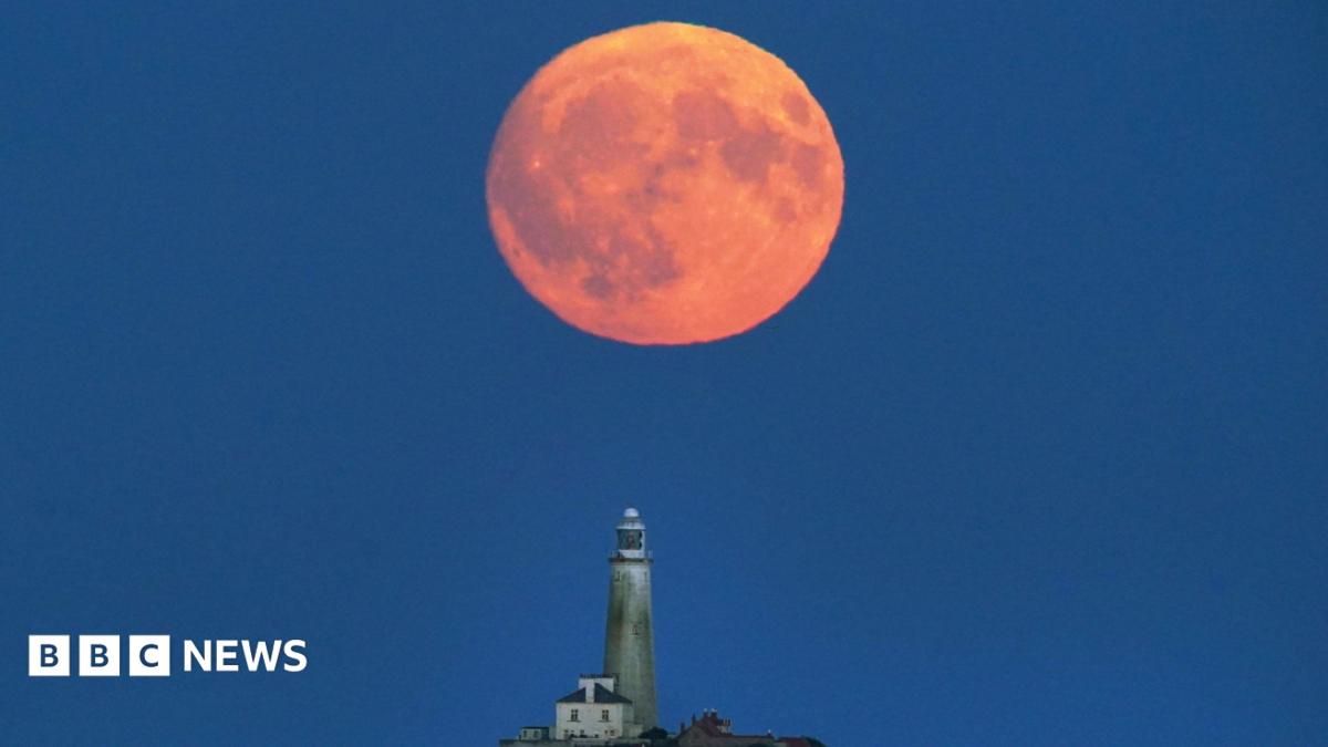 'Buck Moon' set to light up sky