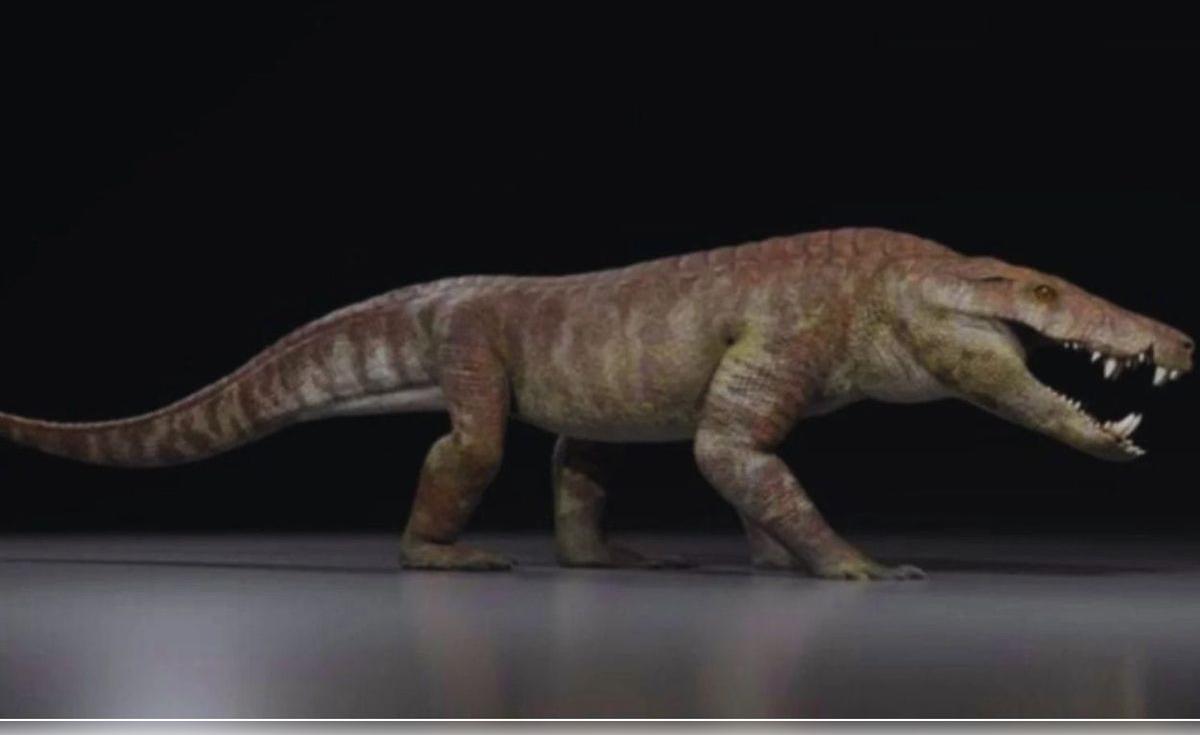 La Patagonia escondía un depredador de más de 50 dientes que corría por tierra y pudo cazar dinosaurios hace millones de años