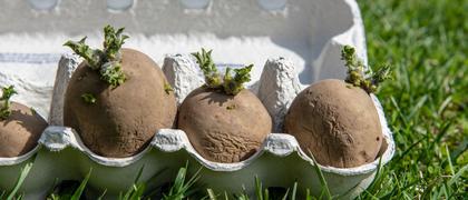 Centre receives extended funding from Mistra for food research
