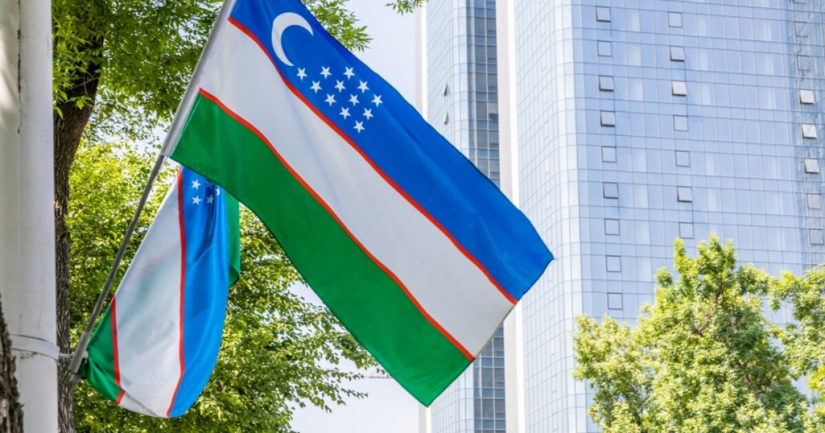 Uzbekistan Pivots to 2 SMRs, 2 Large Reactors on Single Site