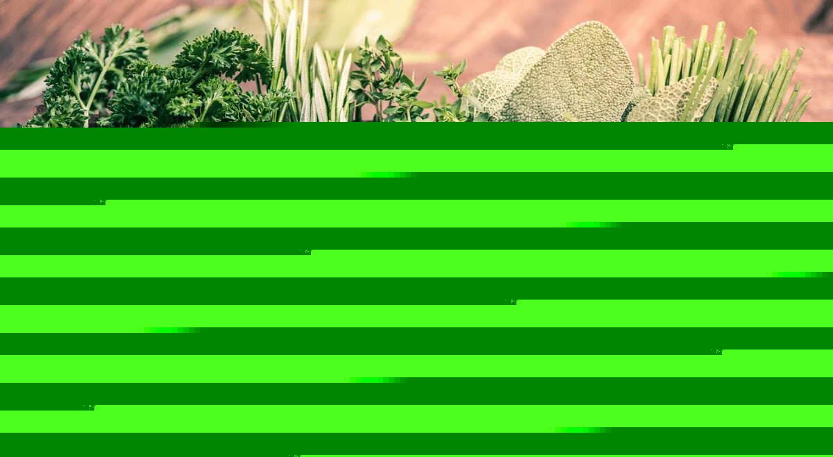 Edible Garden expands Walmart distribution for fresh herbs across the Mid-Atlantic