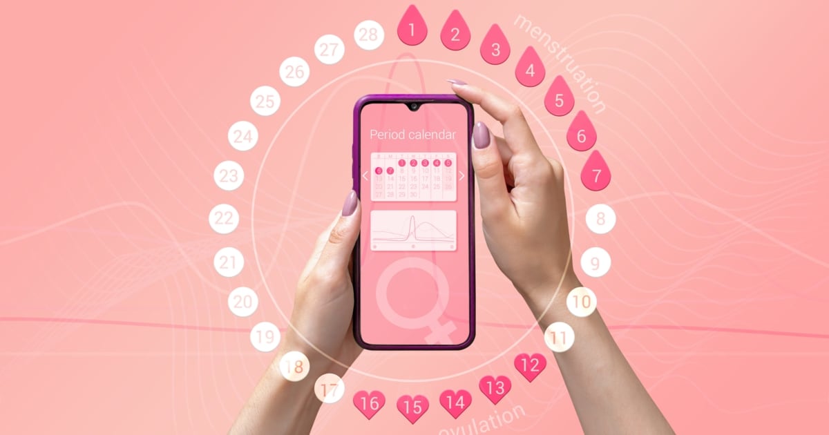 Intimste Informationen - 6 Zyklus-Apps im Test: Wie sicher sind Ihre Daten?