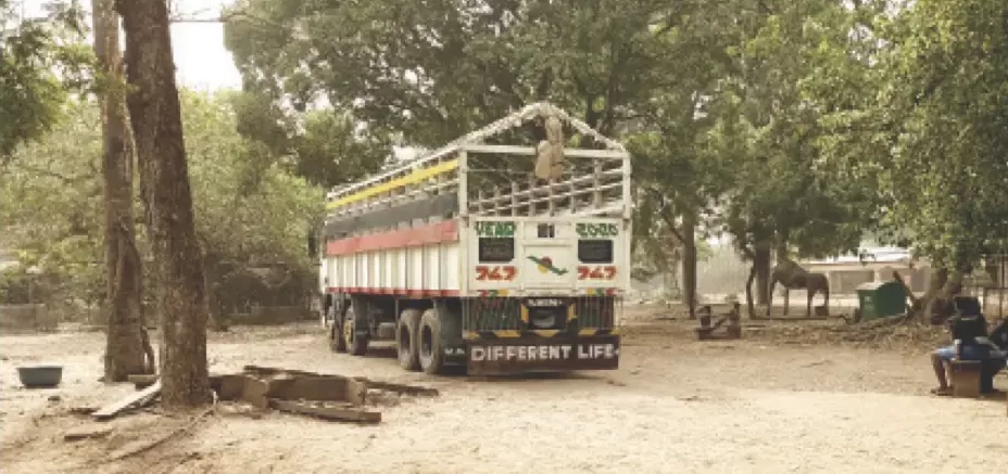 Comment on Disquiet in Imo Zoo over alleged relocation of animals to Jos by Vytvorení úctu na binance