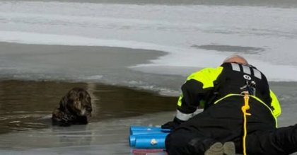 PHOTOS -- 'Angel Without Wings': Arkansas Man Rescues Dog Trapped in Icy Water